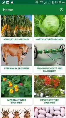 Play Learn Agriculture by Pictures - 1000 Images