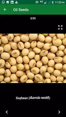 Play Learn Agriculture by Pictures - 1000 Images