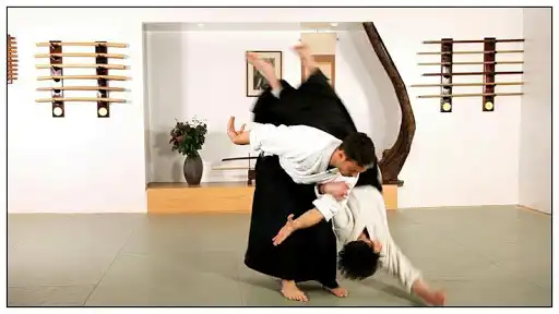 Play Learn aikido and martial arts  and enjoy Learn aikido and martial arts with UptoPlay