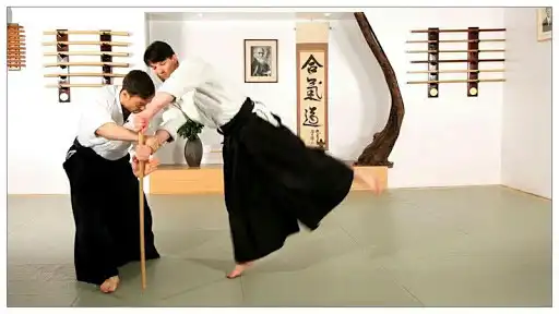 Play Learn aikido and martial arts as an online game Learn aikido and martial arts with UptoPlay