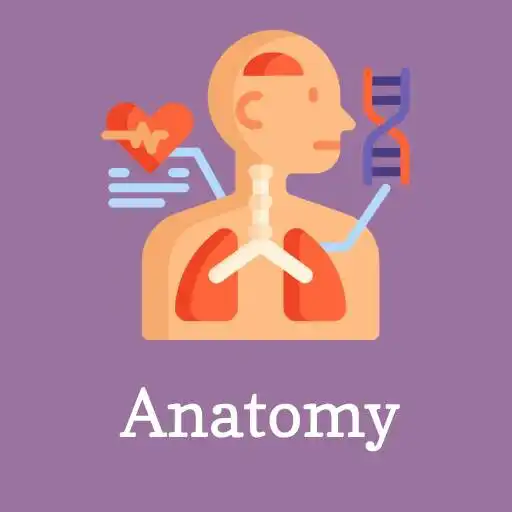 Play Learn Anatomy  Physiology APK