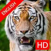 Free play online Learn Animal Names and Facts APK Free play online Learn Animal Names and Facts APK