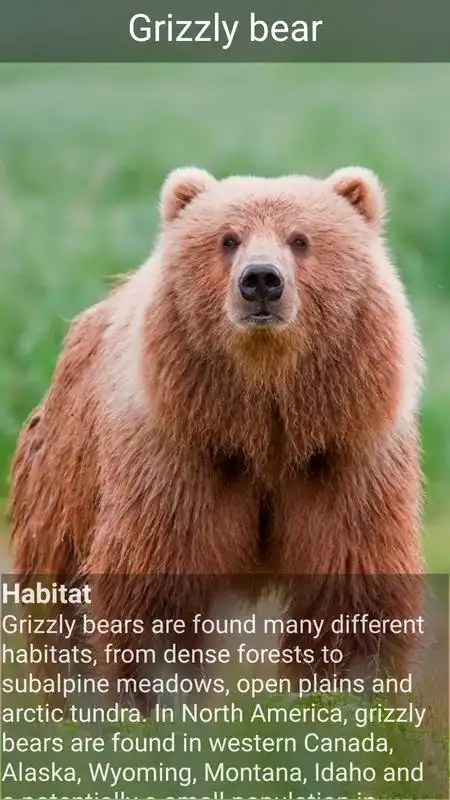 Play Learn Animal Names and Facts