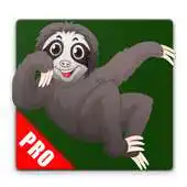 Free play online Learn Animal Names in Turkish APK Free play online Learn Animal Names in Turkish APK