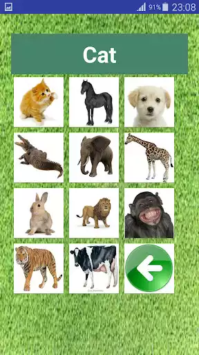 Play Learn Animals For Kids