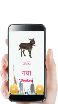 Play Learn Animals For Kids