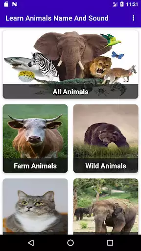 Play Learn Animals Name and Sound  and enjoy Learn Animals Name and Sound with UptoPlay