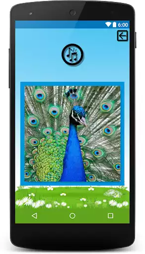 Play Learn animal sounds as an online game Learn animal sounds with UptoPlay