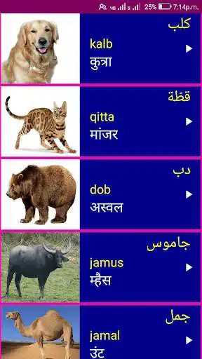 Play Learn Arabic From Marathi  and enjoy Learn Arabic From Marathi with UptoPlay