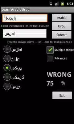 Play Learn Arabic Urdu