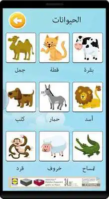 Play Learn arabic vocabulary game