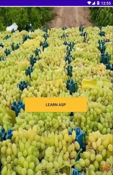 Play learn Asp  and enjoy learn Asp with UptoPlay