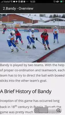Play Learn Bandy Full