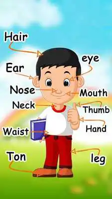 Play LEARN BODY PARTS