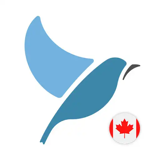 Play Learn Canadian English. Speak Canadian English. APK Play Learn Canadian English. Speak Canadian English. APK