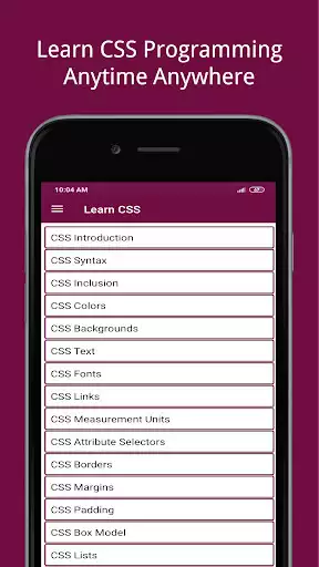 Play Learn - CSS