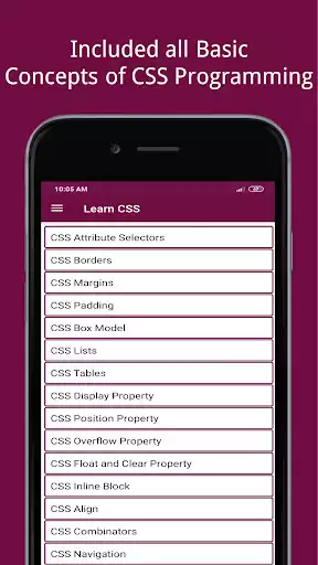 Play Learn - CSS