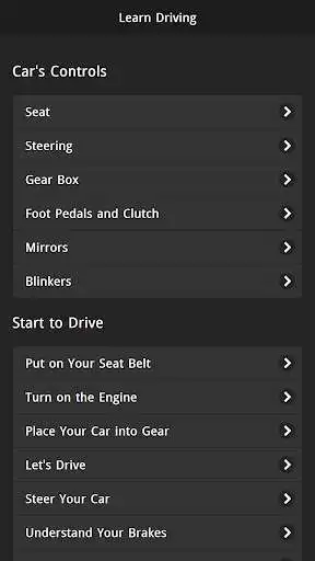 Play Learn Driving Offline Play Learn Driving Offline