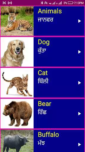Play Learn English From Punjabi