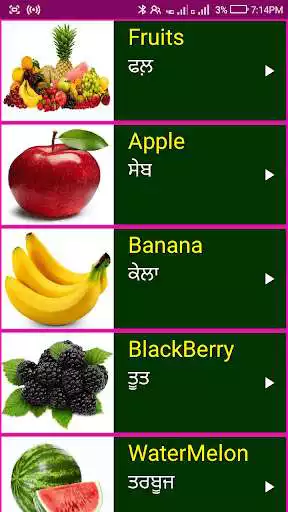 Play Learn English From Punjabi