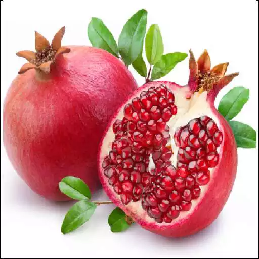 Play Learn English Fruits in Hindi APK Play Learn English Fruits in Hindi APK