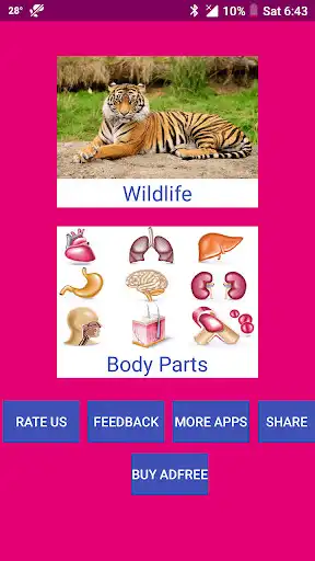 Play Learn English Wildlife and Body Parts Names and enjoy Learn English Wildlife and Body Parts Names with UptoPlay Play Learn English Wildlife and Body Parts Names and enjoy Learn English Wildlife and Body Parts Names with UptoPlay