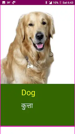 Play Learn English Wildlife and Body Parts Names as an online game online Learn English Wildlife and Body Parts Names with UptoPlay com.devstudios.learnenglishwildlife Play Learn English Wildlife and Body Parts Names as an online game Learn English Wildlife and Body Parts Names with UptoPlay