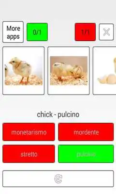 Play Learn Estonian words