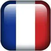 Free play online Learn French Language - Part 3 APK