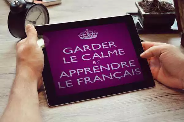 Play Learn French With Pleasure