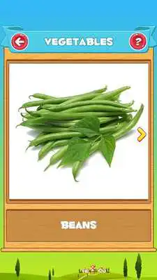 Play Learn Fruits and Vegetables