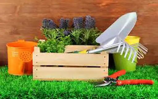 Play APK Learn Gardening, plants and flowers and enjoy Learn Gardening, plants and flowers with UptoPlay aprenderjardineria.learngardening.aprendajardinagem Play APK Learn Gardening, plants and flowers and enjoy Learn Gardening, plants and flowers with UptoPlay aprenderjardineria.learngardening.aprendajardinagem