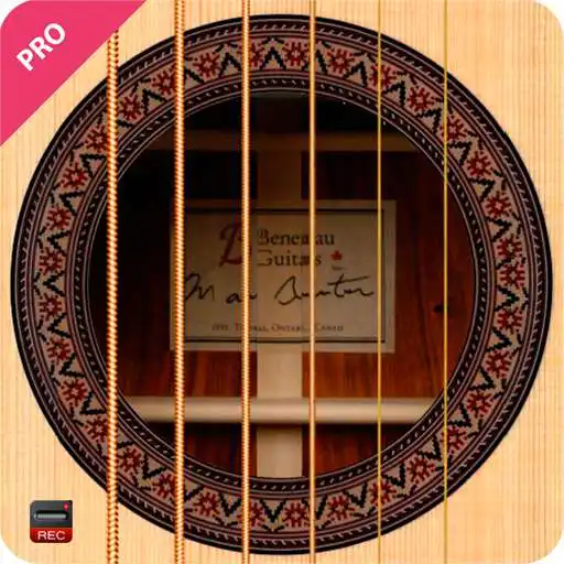 Free play online Learn Guitar with Simulator APK