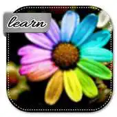 Free play online Learn How To Make Flowers APK Free play online Learn How To Make Flowers APK