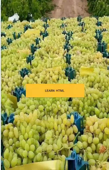 Play Learn html tutorial offline  and enjoy Learn html tutorial offline with UptoPlay