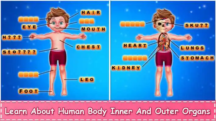 Play Learn Human Body Parts For Kids
