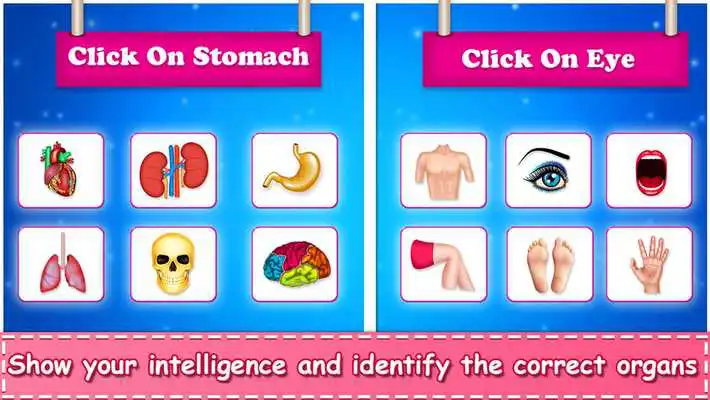 Play Learn Human Body Parts For Kids