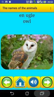 Play Learning Danish Language (animals names)