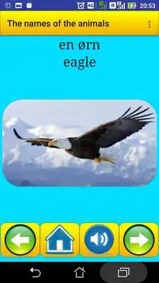 Play Learning Danish Language (animals names)