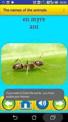 Play Learning Danish Language (animals names)
