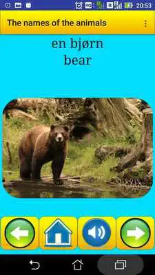 Play Learning Danish Language (animals names)