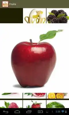 Play Learning Fruits