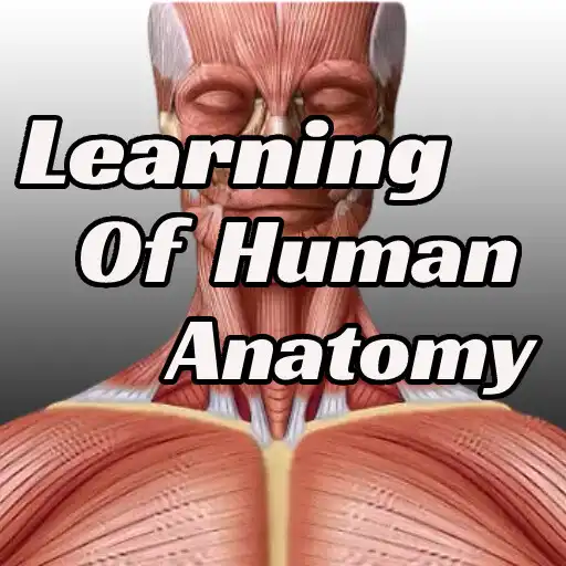 Play Learning Of Human Anatomy APK