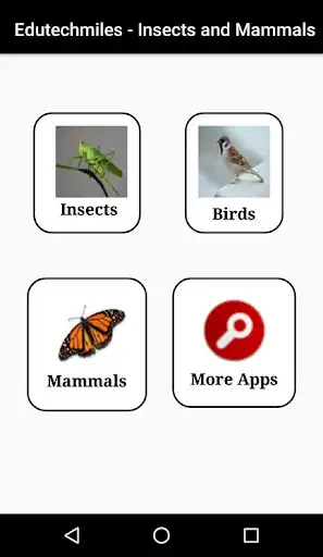 Play Learn Insects and Mammals  and enjoy Learn Insects and Mammals with UptoPlay