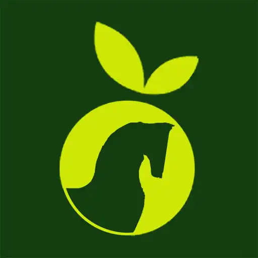 Free play online Learn IT! APK Free play online Learn IT! APK