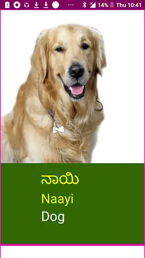 Play Learn Kannada Wildlife and Body Parts Names as an online game Learn Kannada Wildlife and Body Parts Names with UptoPlay