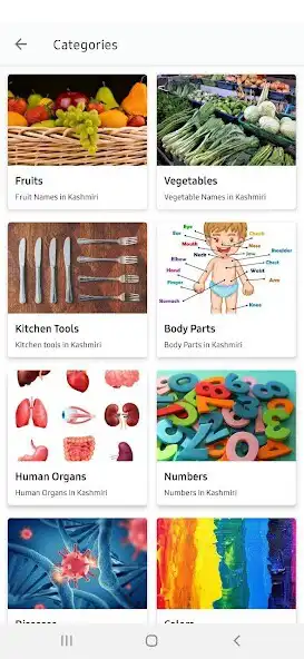 Play Learn Kashmiri Online as an online game Learn Kashmiri Online with UptoPlay