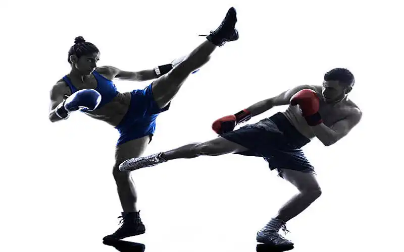 Play Learn Kingboxing and martial arts as an online game Learn Kingboxing and martial arts with UptoPlay