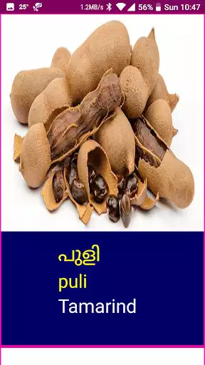 Play Learn Malayalam Fruits and Vegetables  and enjoy Learn Malayalam Fruits and Vegetables with UptoPlay