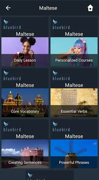 Play Learn Maltese. Speak Maltese. Study Maltese.  and enjoy Learn Maltese. Speak Maltese. Study Maltese. with UptoPlay